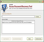 Access Password Recovery